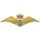 Royal Danish Air Force